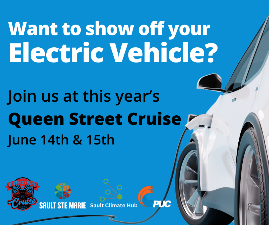 Queen Street Cruise to include EV showcase