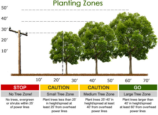 Tree Trimming and Removal - Sault Ste. Marie PUC