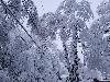 BE PREPARED - SIGNIFICANT POWER OUTAGE
